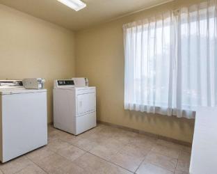 comfort inn and suites