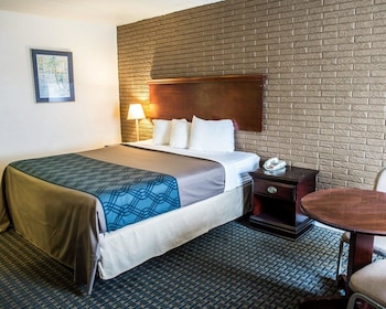 rodeway inn and suites wilmington north