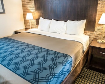 rodeway inn and suites wilmington north