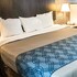rodeway inn and suites wilmington north