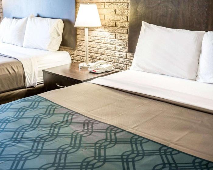 rodeway inn and suites wilmington north