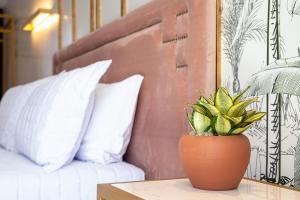 exotica boutique hotel