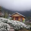Vamoose Niru,Kalimpong>>Darjeeling,0 star