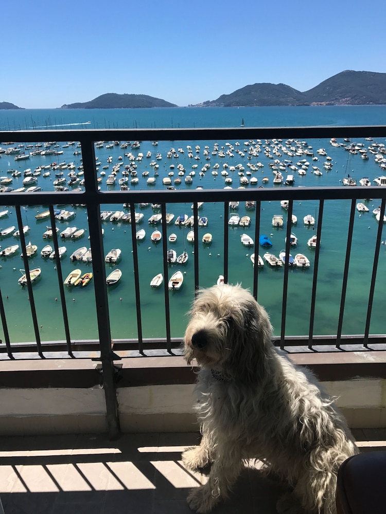 hotel shelley e delle palme bw signature collection