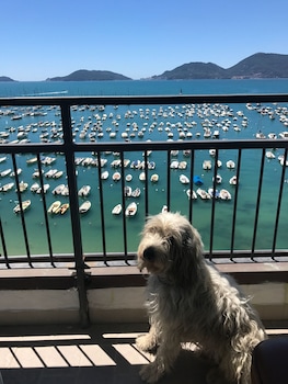 hotel shelley e delle palme bw signature collection