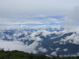 vamoose cosynook homestay