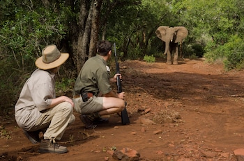 amakhosi safari lodge and spa