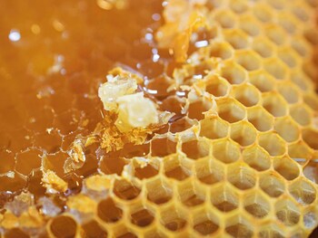 greet hotel salon de provence