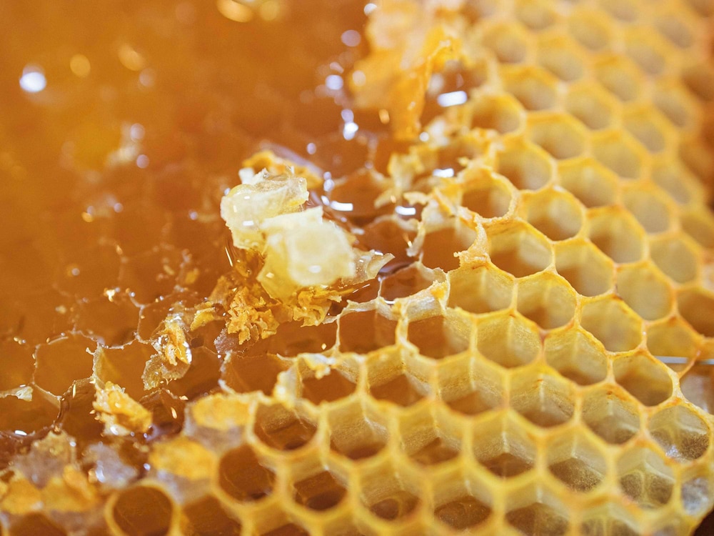 greet hotel salon de provence