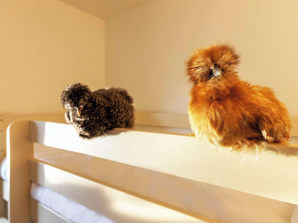 greet hotel salon de provence