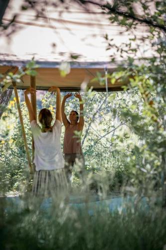 bodhi farms