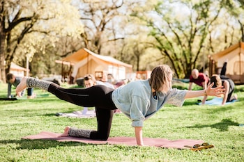 Wildhaven Sonoma Glamping,Novato>>Healdsburg,2 star