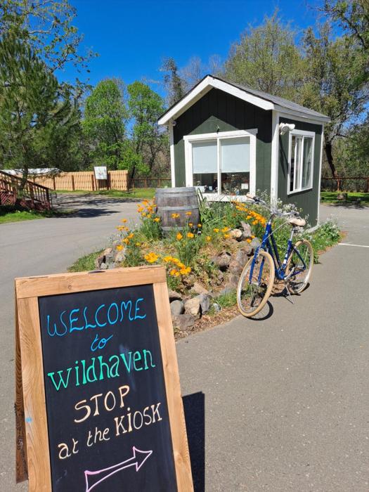 wildhaven sonoma glamping