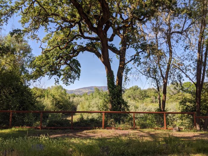 wildhaven sonoma glamping