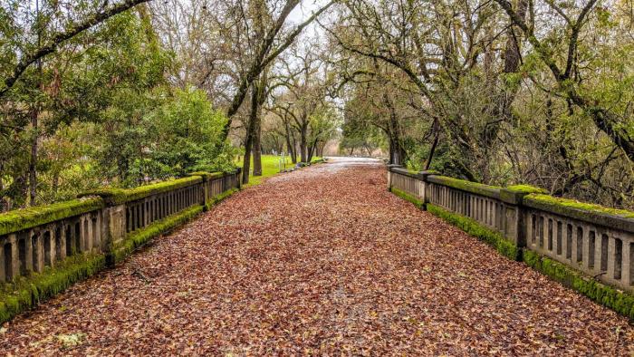 wildhaven sonoma glamping