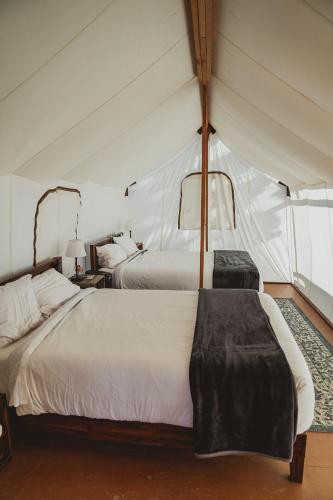 wildhaven sonoma glamping