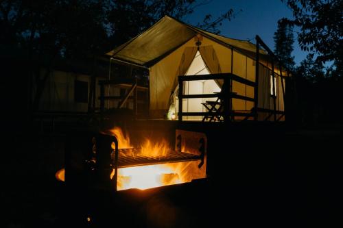 wildhaven sonoma glamping