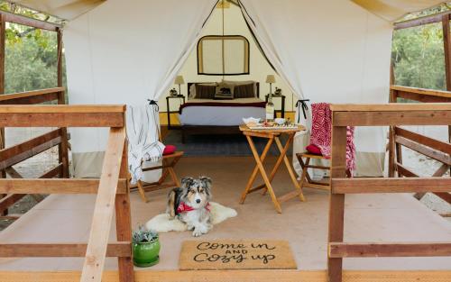 wildhaven sonoma glamping