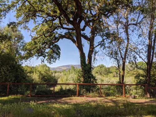 wildhaven sonoma glamping