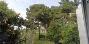 seixal