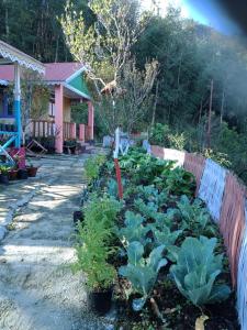vamoose shri ganesh homestay