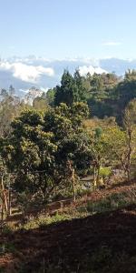 vamoose shri ganesh homestay