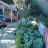 Vamoose Shri Ganesh Homestay,Kalimpong>>Darjeeling,3 star
