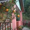 vamoose shri ganesh homestay