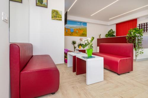 dipladenia garden country house