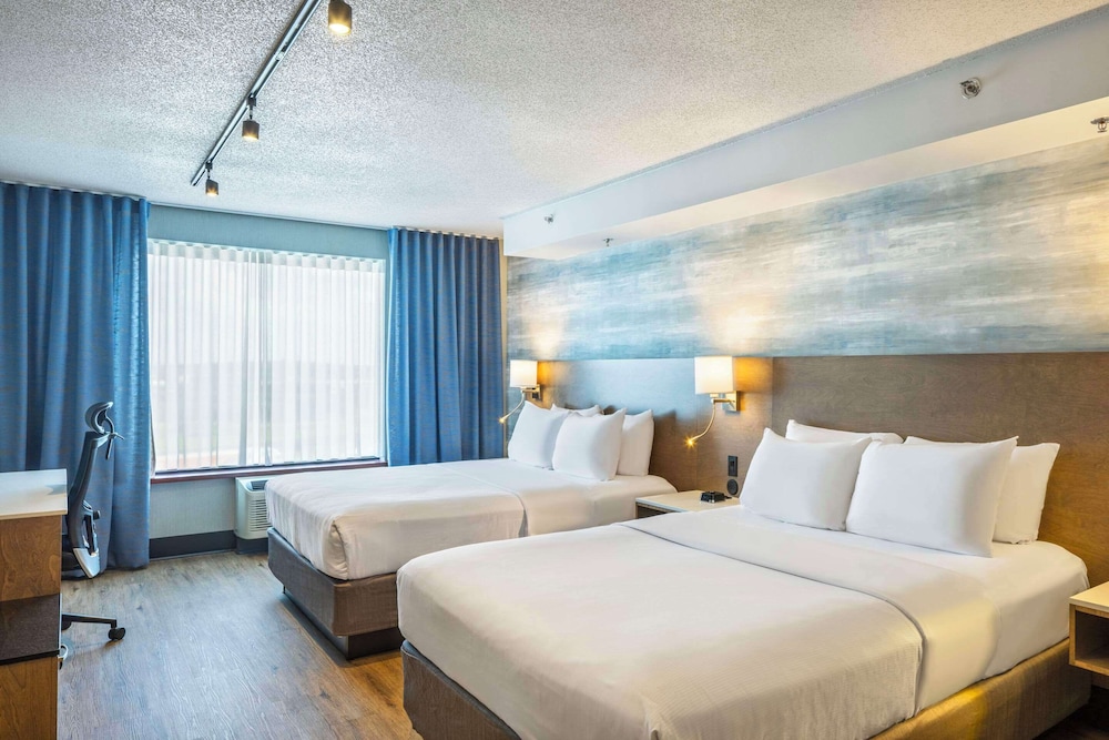 quality inn and suites levis