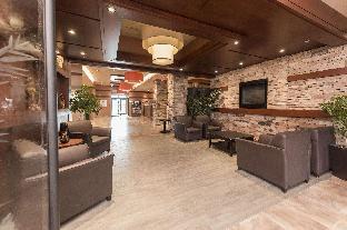 quality inn and suites levis