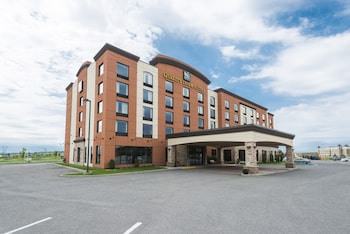 quality inn and suites levis