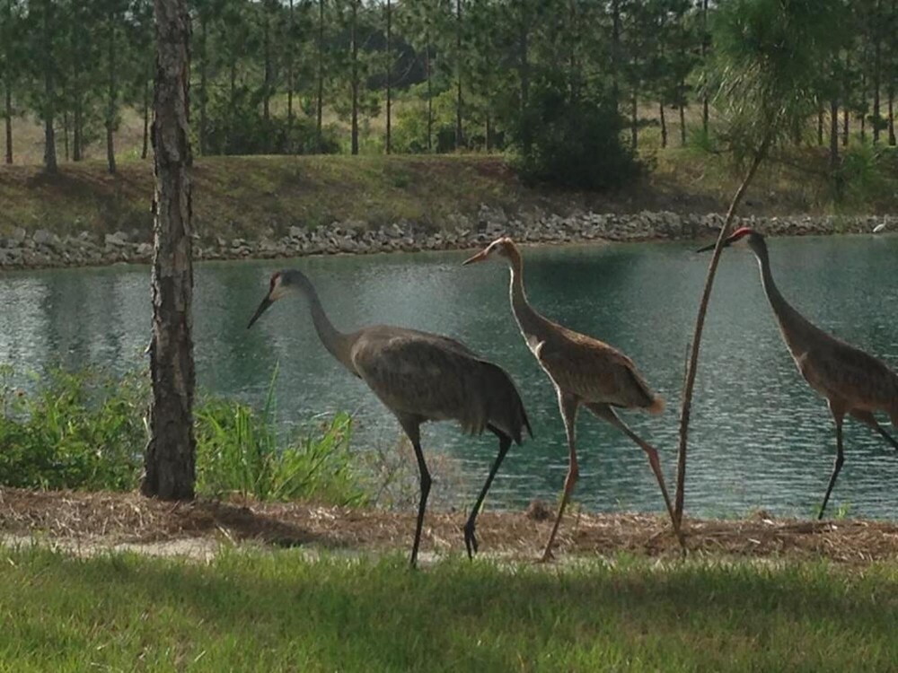 studio 02 lake sumner