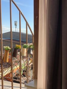 Menua,Geghanist>>Yerevan,2.5 star