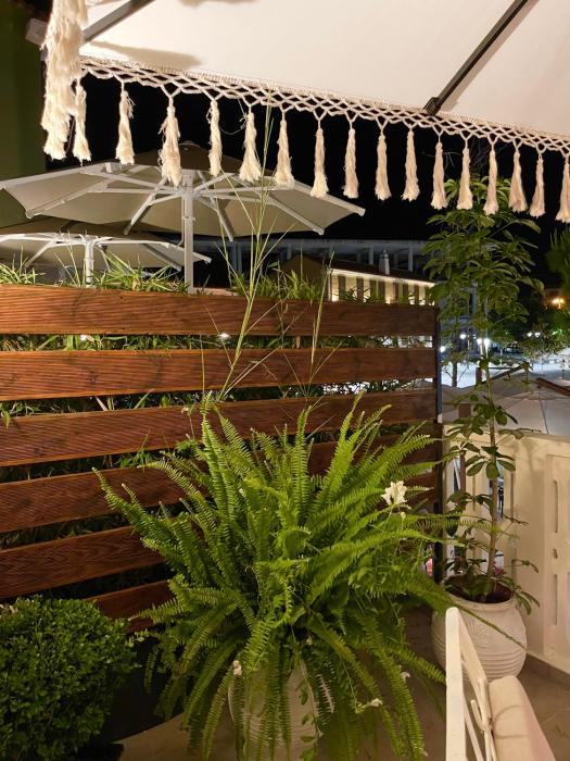 bohemian boutique suites