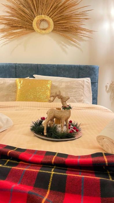 bohemian boutique suites