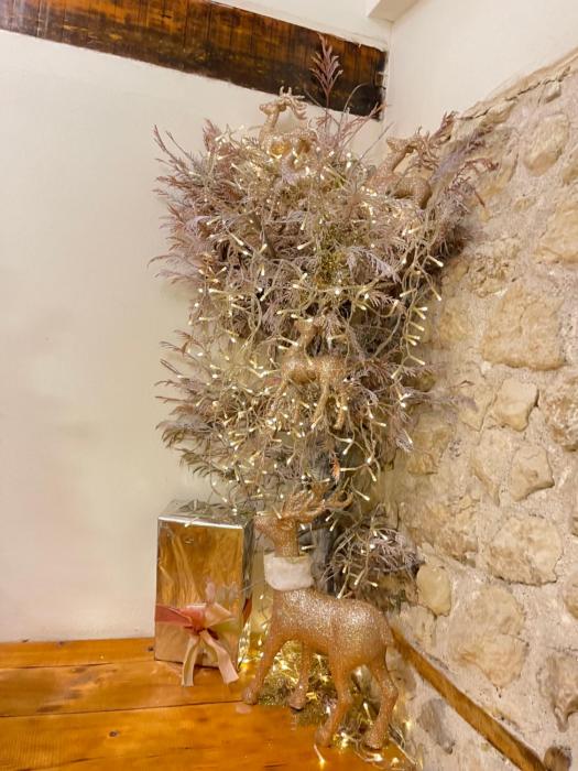 bohemian boutique suites