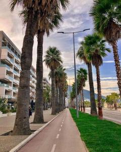 bohemian boutique suites