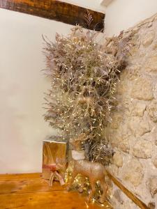 bohemian boutique suites