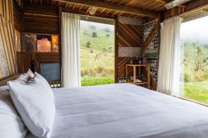 mamallacta paramo lodge