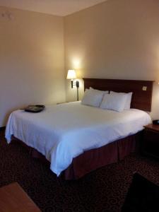 Hampton Inn By Hilton Eagle Pass,Eagle Pass>>Cotulla,3 star