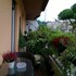 gregorio vii luxury suites