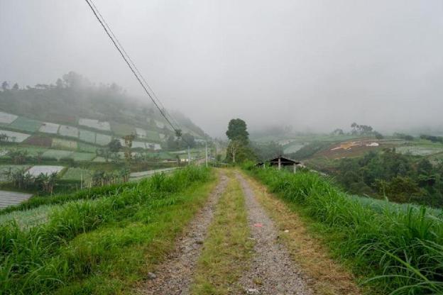 reddoorz near candi cetho karanganyar