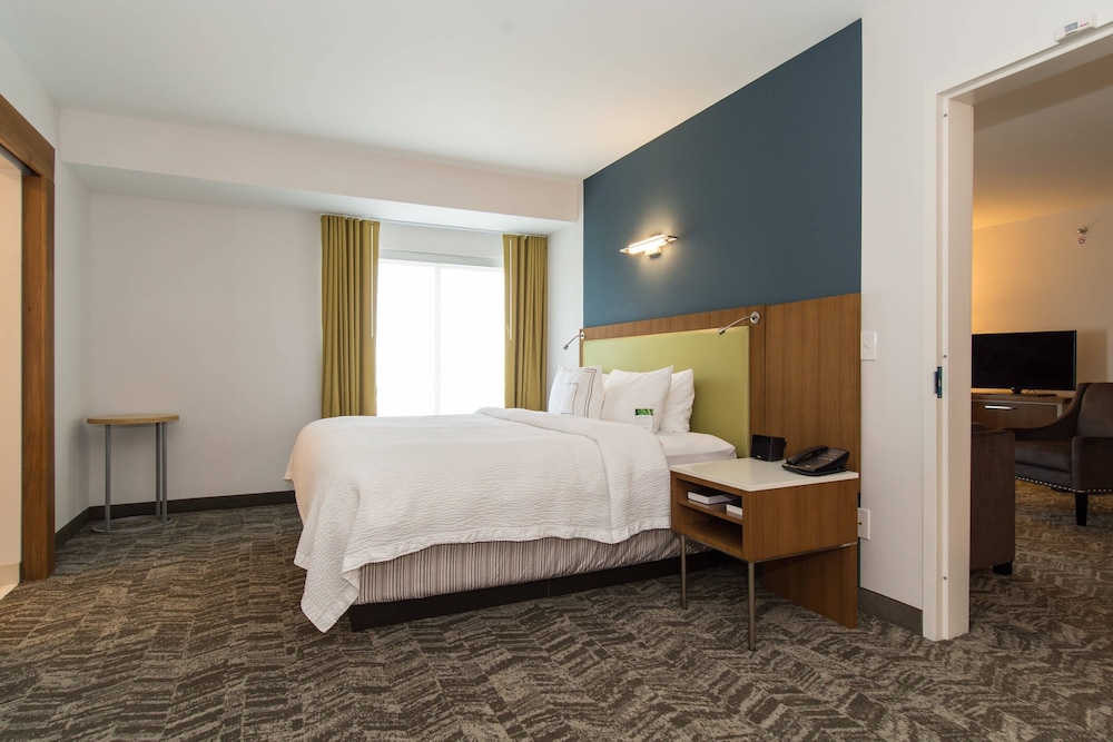 springhill suites by marriott charlotte ballantyne