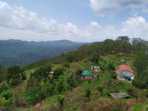 the green pine cottage