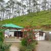 The Green Pine Cottage,Pauri Garhwal>>Lansdowne,3 star