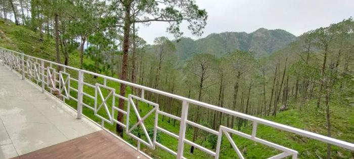 the green pine cottage