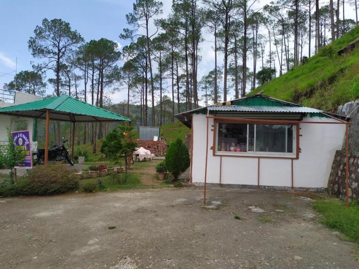 the green pine cottage