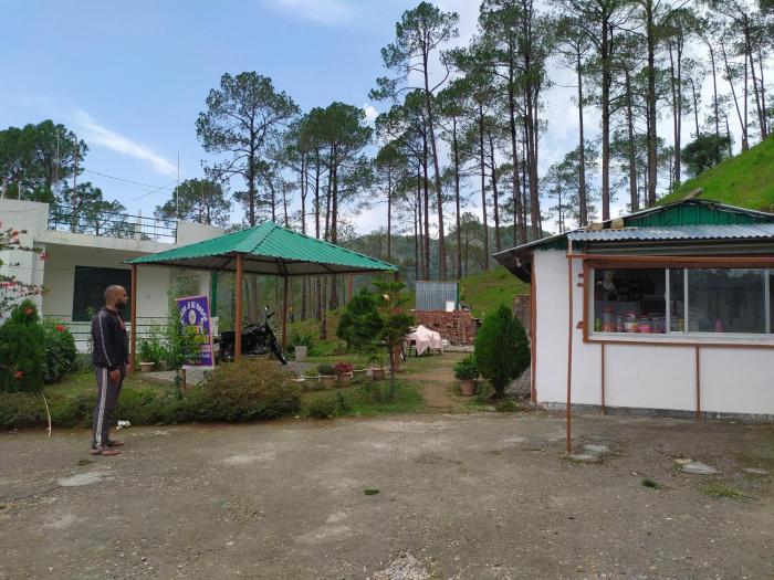 the green pine cottage
