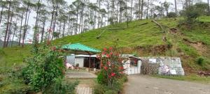 the green pine cottage